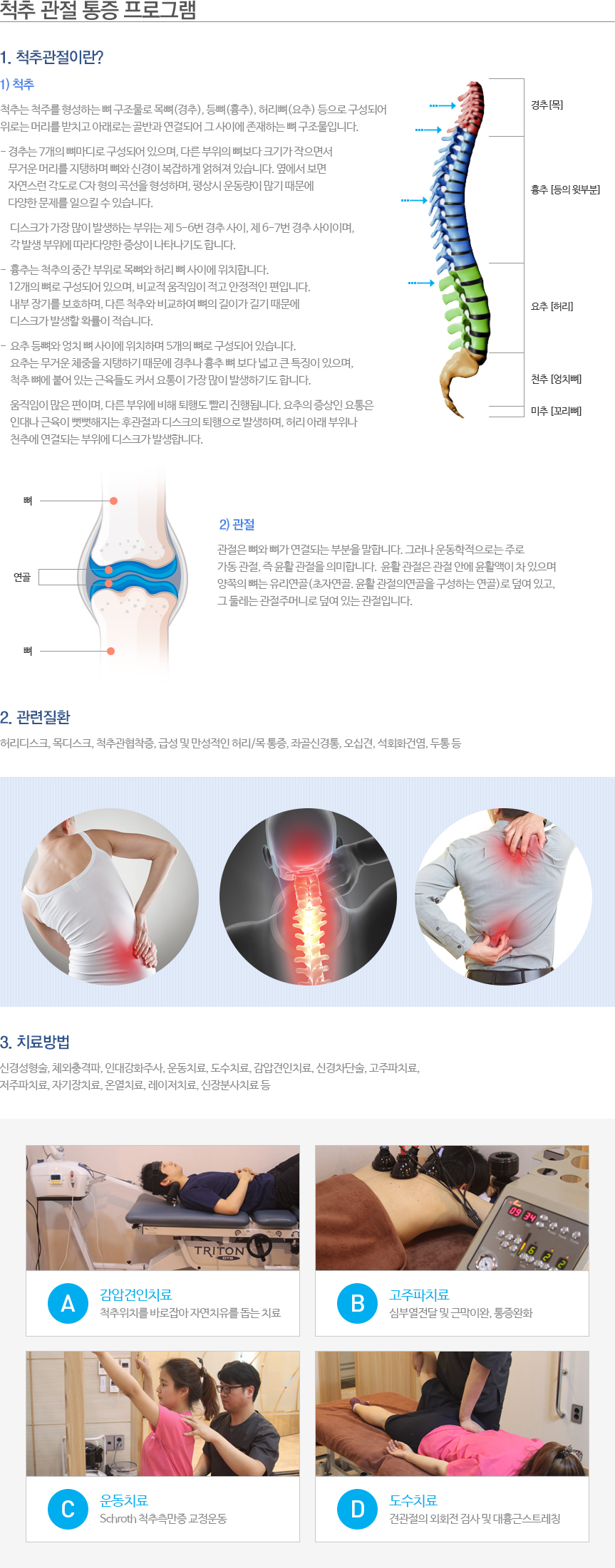척추 관절 통증 프로그램